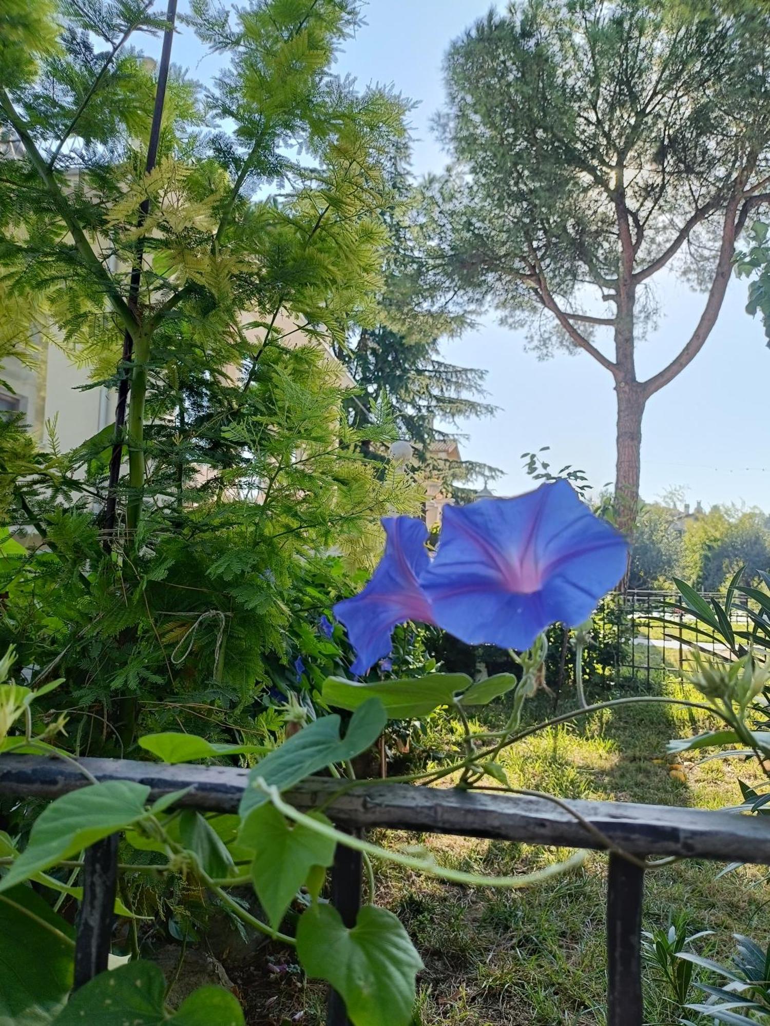 B&B Retro'Conero Castelfidardo Dış mekan fotoğraf
